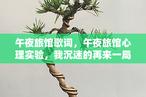 午夜旅馆歌词，午夜旅馆心理实验，我沉迷的再来一局，竟是大脑自导自演的细思极恐骗局