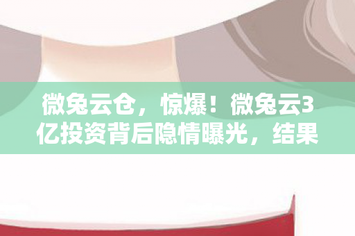 微兔云仓，惊爆！微兔云3亿投资背后隐情曝光，结果让人吓一跳！