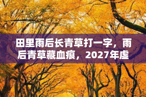 田里雨后长青草打一字，雨后青草藏血痕，2027年虚拟田埂悬案，谁在收割我的灵魂？
