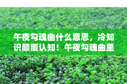 午夜勾魂曲什么意思，冷知识颠覆认知！午夜勾魂曲里藏着你目瞪口呆的隐藏设定
