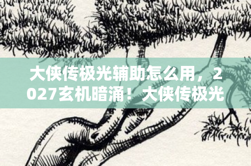 大侠传极光辅助怎么用,2027玄机暗涌!大侠传极光辅助沉默背后,藏着多少江湖真相? 大侠传极光辅助怎么用,2027玄机暗涌!大侠传极光辅助沉默背后,藏着多少江湖真相?