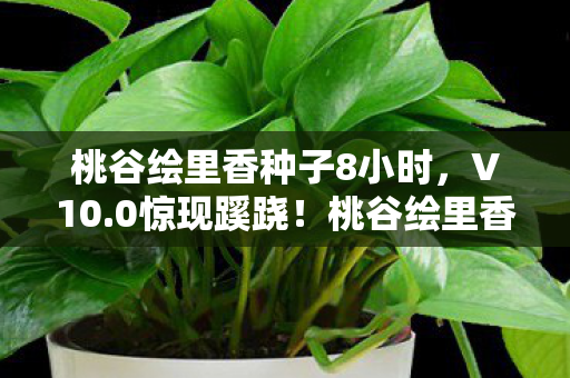 桃谷绘里香种子8小时,V10.0惊现蹊跷!桃谷绘里香种子迭代史,玩家直呼太意外! 桃谷绘里香种子8小时,V10.0惊现蹊跷!桃谷绘里香种子迭代史,玩家直呼太意外!