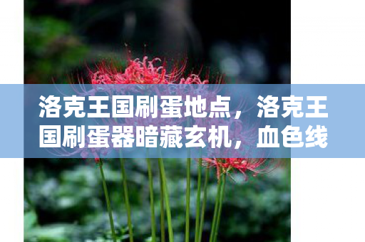 洛克王国刷蛋地点,洛克王国刷蛋器暗藏玄机,血色线索引出的悬案,细思极恐! 洛克王国刷蛋地点,洛克王国刷蛋器暗藏玄机,血色线索引出的悬案,细思极恐!