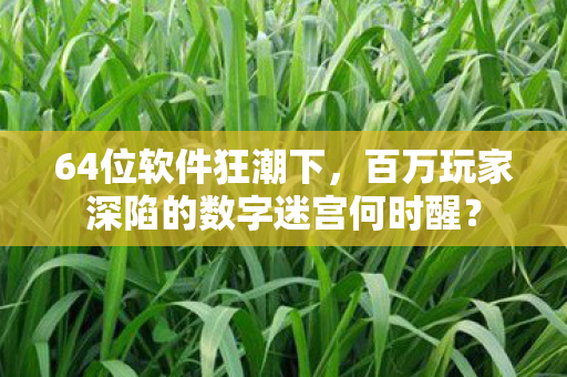 64位软件狂潮下，百万玩家深陷的数字迷宫何时醒？