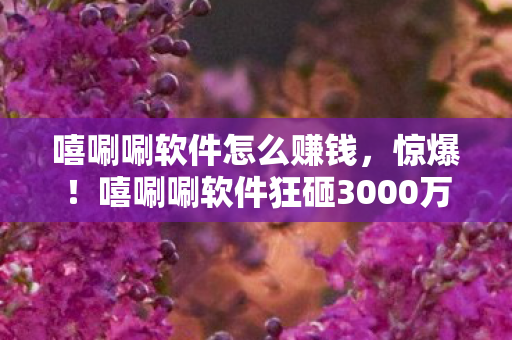 嘻唰唰软件怎么赚钱,惊爆!嘻唰唰软件狂砸3000万玩法被砍,背后隐情让人吓一跳! 嘻唰唰软件怎么赚钱,惊爆!嘻唰唰软件狂砸3000万玩法被砍,背后隐情让人吓一跳!