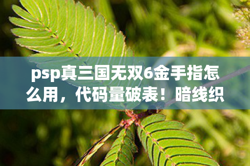 psp真三国无双6金手指怎么用,代码量破表!暗线织就三国梦,解锁后头皮发麻的生存法则 psp真三国无双6金手指怎么用,代码量破表!暗线织就三国梦,解锁后头皮发麻的生存法则