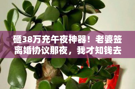 砸38万充午夜神器！老婆签离婚协议那夜，我才知钱去哪了