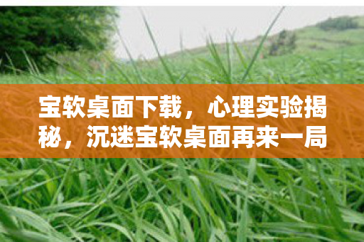 宝软桌面下载，心理实验揭秘，沉迷宝软桌面再来一局的细思极恐真相