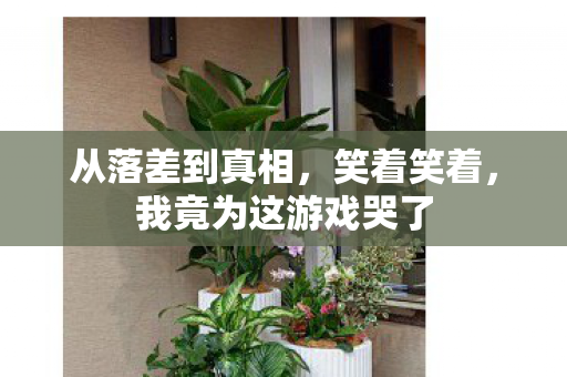 从落差到真相，笑着笑着，我竟为这游戏哭了