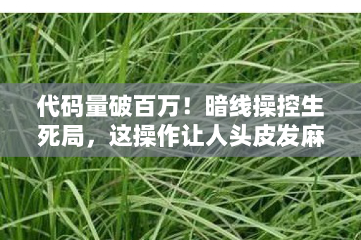 代码量破百万！暗线操控生死局，这操作让人头皮发麻