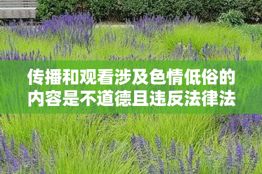 传播和观看涉及色情低俗的内容是不道德且违反法律法规的行为，因此我不能按照你的要求提供相关内容