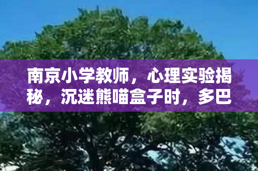 南京小学教师,心理实验揭秘,沉迷熊喵盒子时,多巴胺作祟竟细思极恐! 南京小学教师,心理实验揭秘,沉迷熊喵盒子时,多巴胺作祟竟细思极恐!