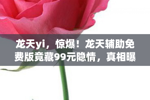 龙天yi，惊爆！龙天辅助免费版竟藏99元隐情，真相曝光让人吓一跳！