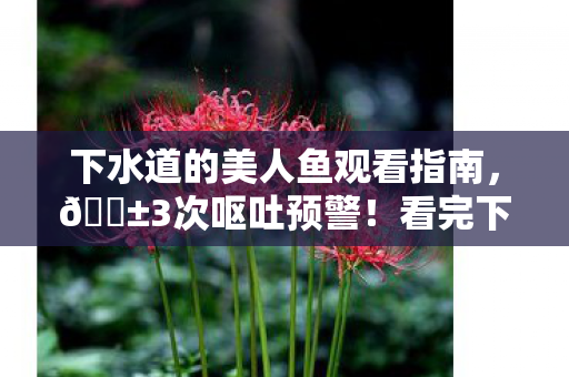 下水道的美人鱼观看指南，😱3次呕吐预警！看完下水道的美人鱼我悟了人性最暗的深渊