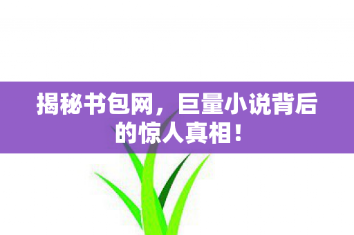 揭秘书包网,巨量小说背后的惊人真相! 揭秘书包网,巨量小说背后的惊人真相!