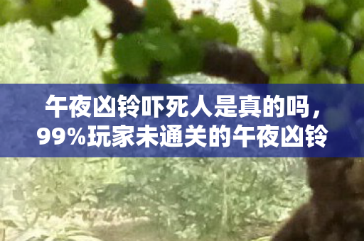 午夜凶铃吓死人是真的吗,99%玩家未通关的午夜凶铃,恐惧占比超70%,这结局扎穿心脏! 午夜凶铃吓死人是真的吗,99%玩家未通关的午夜凶铃,恐惧占比超70%,这结局扎穿心脏!