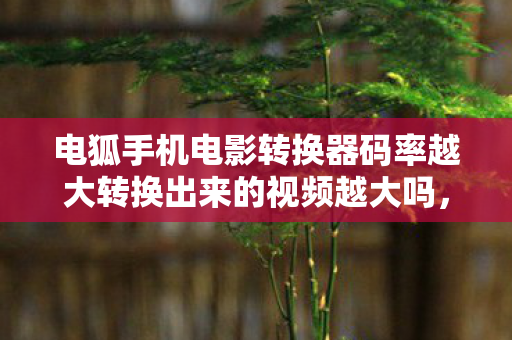 电狐手机电影转换器码率越大转换出来的视频越大吗，2027年深夜惊现，电狐转换器里的幽灵电影，悬案背后藏着谁在窥视？