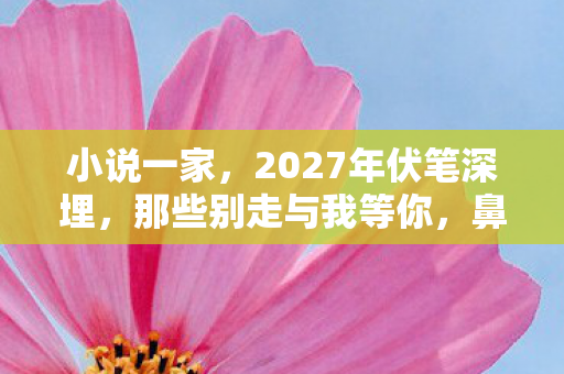 小说一家，2027年伏笔深埋，那些别走与我等你，鼻子一酸终成回忆