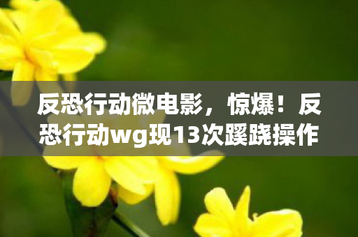 反恐行动微电影，惊爆！反恐行动wg现13次蹊跷操作，真相揭晓后背发凉！