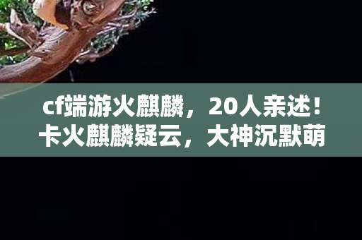 cf端游火麒麟，20人亲述！卡火麒麟疑云，大神沉默萌新懵，这操作真绷不住了！
