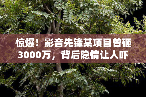 惊爆!影音先锋某项目曾砸3000万,背后隐情让人吓一跳! 惊爆!影音先锋某项目曾砸3000万,背后隐情让人吓一跳!