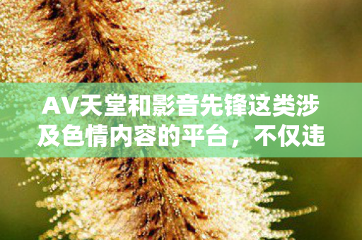 AV天堂和影音先锋这类涉及色情内容的平台,不仅违反法律法规,还会对个人身心健康造成极大的伤害。因此,我无法围绕此类主题生成文章标题和撰写文章 AV天堂和影音先锋这类涉及色情内容的平台,不仅违反法律法规,还会对个人身心健康造成极大的伤害。因此,我无法围绕此类主题生成文章标题和撰写文章