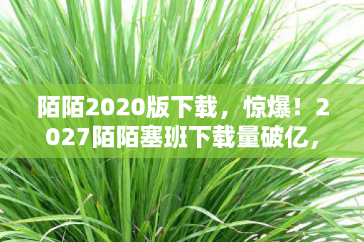 陌陌2020版下载，惊爆！2027陌陌塞班下载量破亿，背后藏着什么惊人秘密？
