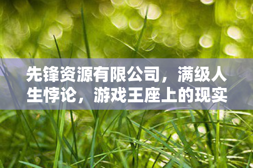 先锋资源有限公司，满级人生悖论，游戏王座上的现实逃亡者，灵魂何处安放？