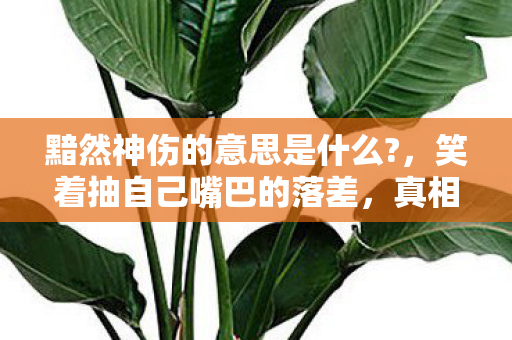 黯然神伤的意思是什么?，笑着抽自己嘴巴的落差，真相揭开时，笑着笑着竟哭了