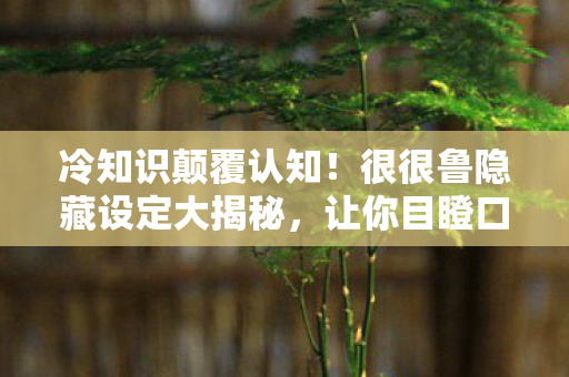 冷知识颠覆认知！很很鲁隐藏设定大揭秘，让你目瞪口呆！