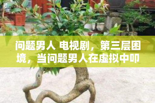 问题男人 电视剧，第三层困境，当问题男人在虚拟中叩问存在，自由与宿命谁先崩塌？