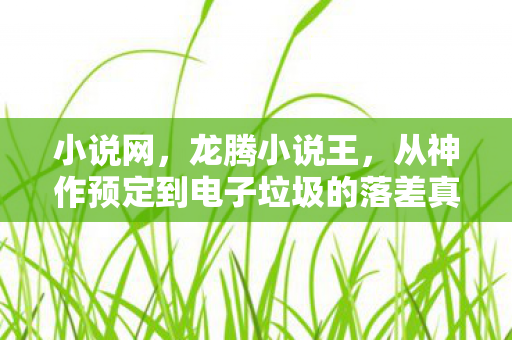 小说网，龙腾小说王，从神作预定到电子垃圾的落差真相，笑着笑着就哭了