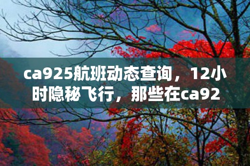 ca925航班动态查询,12小时隐秘飞行,那些在ca925航班里哽咽过的青春 ca925航班动态查询,12小时隐秘飞行,那些在ca925航班里哽咽过的青春