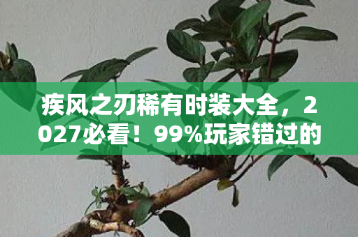 疾风之刃稀有时装大全，2027必看！99%玩家错过的3套疾风之刃稀有时装，错过再等十年！