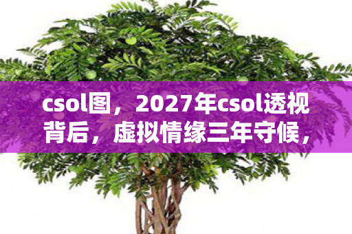 csol图,2027年csol透视背后,虚拟情缘三年守候,凌晨三点谁在等我鼻酸 csol图,2027年csol透视背后,虚拟情缘三年守候,凌晨三点谁在等我鼻酸