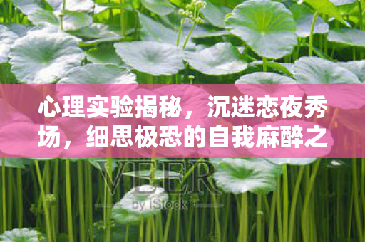 心理实验揭秘,沉迷恋夜秀场,细思极恐的自我麻醉之旅 心理实验揭秘,沉迷恋夜秀场,细思极恐的自我麻醉之旅