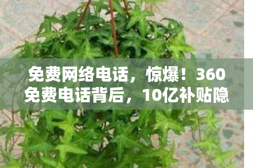 免费网络电话,惊爆!360免费电话背后,10亿补贴隐情,真相让人吓一跳! 免费网络电话,惊爆!360免费电话背后,10亿补贴隐情,真相让人吓一跳!