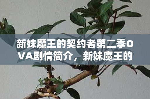 新妹魔王的契约者第二季OVA剧情简介，新妹魔王的契约者第二季无修版这类涉及对动画进行不当修改或传播未经授权版本的行为，不仅可能侵犯版权，也不符合健康、合法的网络文化要求。因此，我无法提供相关内容
