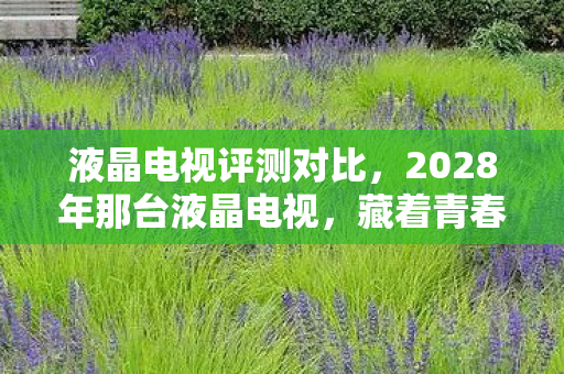 液晶电视评测对比，2028年那台液晶电视，藏着青春伏笔，再见时鼻子一酸