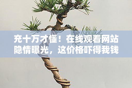 充十万才懂！在线观看网站隐情曝光，这价格吓得我钱包都飞了！