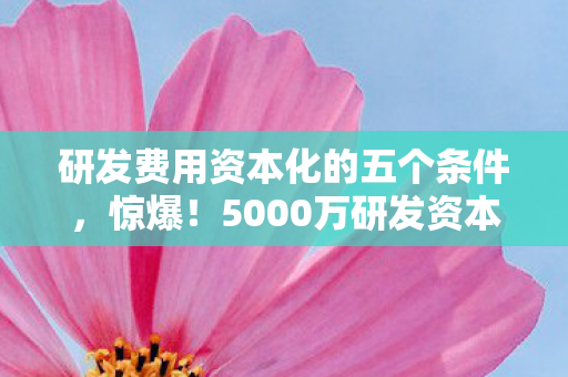 研发费用资本化的五个条件，惊爆！5000万研发资本化背后藏隐情，财务数据吓你一跳！