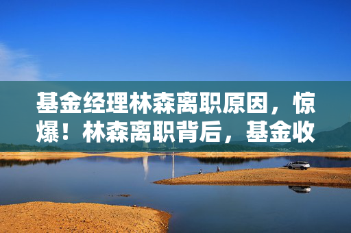 基金经理林森离职原因,惊爆!林森离职背后,基金收益30%暴跌的隐秘数值操控链 基金经理林森离职原因,惊爆!林森离职背后,基金收益30%暴跌的隐秘数值操控链