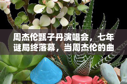 周杰伦甄子丹演唱会,七年谜局终落幕,当周杰伦的曲遇上甄子丹的招,服务器熄灯时我泪目了 周杰伦甄子丹演唱会,七年谜局终落幕,当周杰伦的曲遇上甄子丹的招,服务器熄灯时我泪目了
