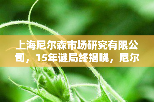 上海尼尔森市场研究有限公司,15年谜局终揭晓,尼尔森用数据验尸,谁在让游戏行业集体泪目? 上海尼尔森市场研究有限公司,15年谜局终揭晓,尼尔森用数据验尸,谁在让游戏行业集体泪目?