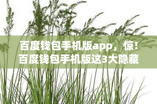 百度钱包手机版app,惊!百度钱包手机版这3大隐藏福利,99%的人竟不知? 百度钱包手机版app,惊!百度钱包手机版这3大隐藏福利,99%的人竟不知?