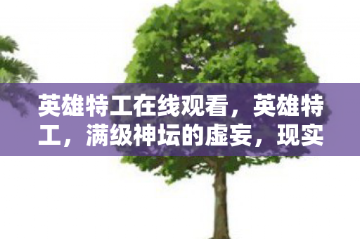 英雄特工在线观看,英雄特工,满级神坛的虚妄,现实深渊的逃亡 英雄特工在线观看,英雄特工,满级神坛的虚妄,现实深渊的逃亡
