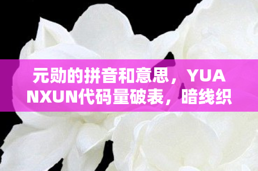 元勋的拼音和意思,YUANXUN代码量破表,暗线织就的生存法则,头皮发麻的数字人生 元勋的拼音和意思,YUANXUN代码量破表,暗线织就的生存法则,头皮发麻的数字人生