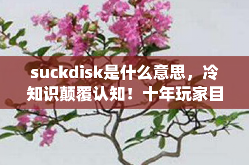 suckdisk是什么意思,冷知识颠覆认知!十年玩家目瞪口呆,suckmydisk竟藏着这秘密? suckdisk是什么意思,冷知识颠覆认知!十年玩家目瞪口呆,suckmydisk竟藏着这秘密?
