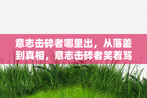 意志击碎者哪里出，从落差到真相，意志击碎者笑着骂完，最后却笑着笑着哭了